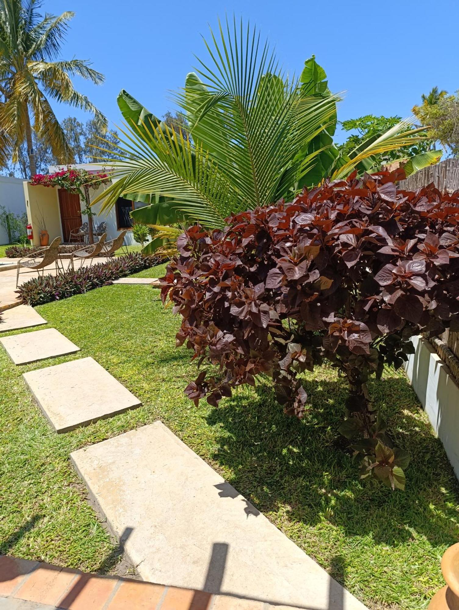 Telvina Beach Lodge Vilanculos Extérieur photo