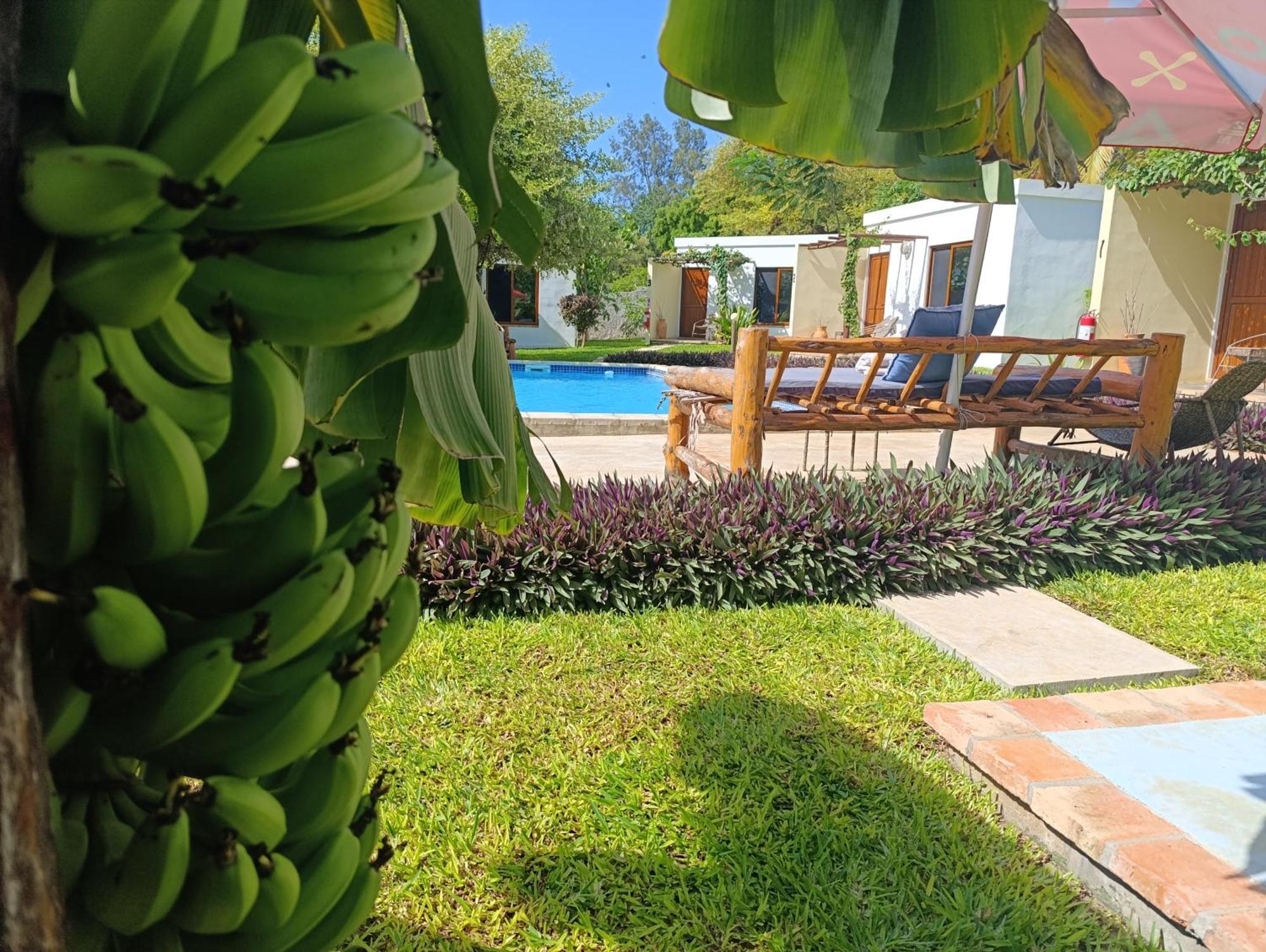 Telvina Beach Lodge Vilanculos Extérieur photo